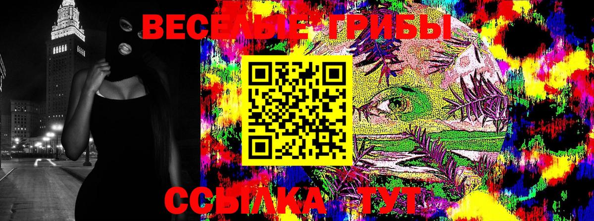Галлюциногенные грибы Psilocybe  Вход с VPN  Галлюциногенные грибы ЛСД  Иваново 